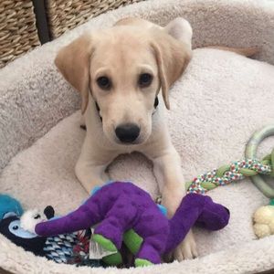 Meet your Posher, Cody